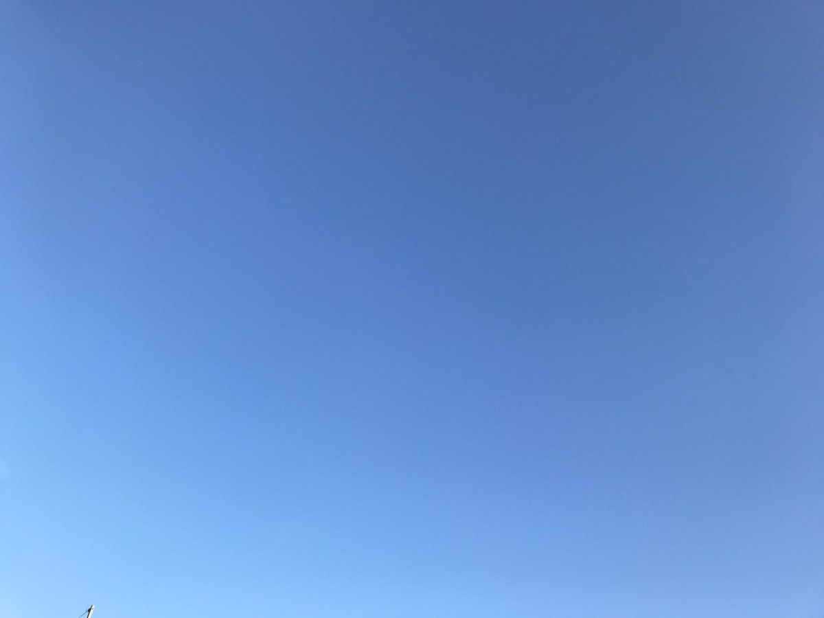 DogOrganic358's tweet photo. 9月16日
おはようございます🌈
本日もよろしくお願い致します🙇‍♂️

#企業相互フォロー
#企業公式秋のフォロー祭り https://t.co/NP4uUwGplI