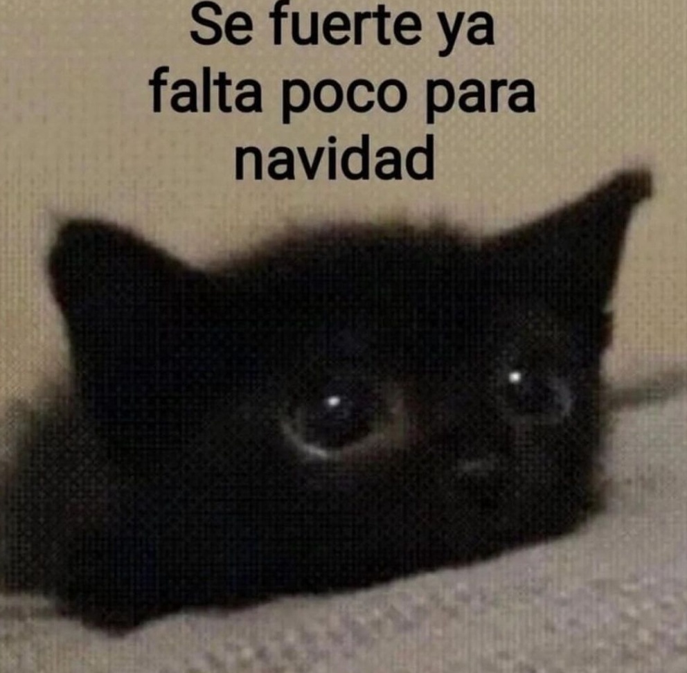 skereunpesado's tweet photo. https://t.co/TRFrMUZBQP