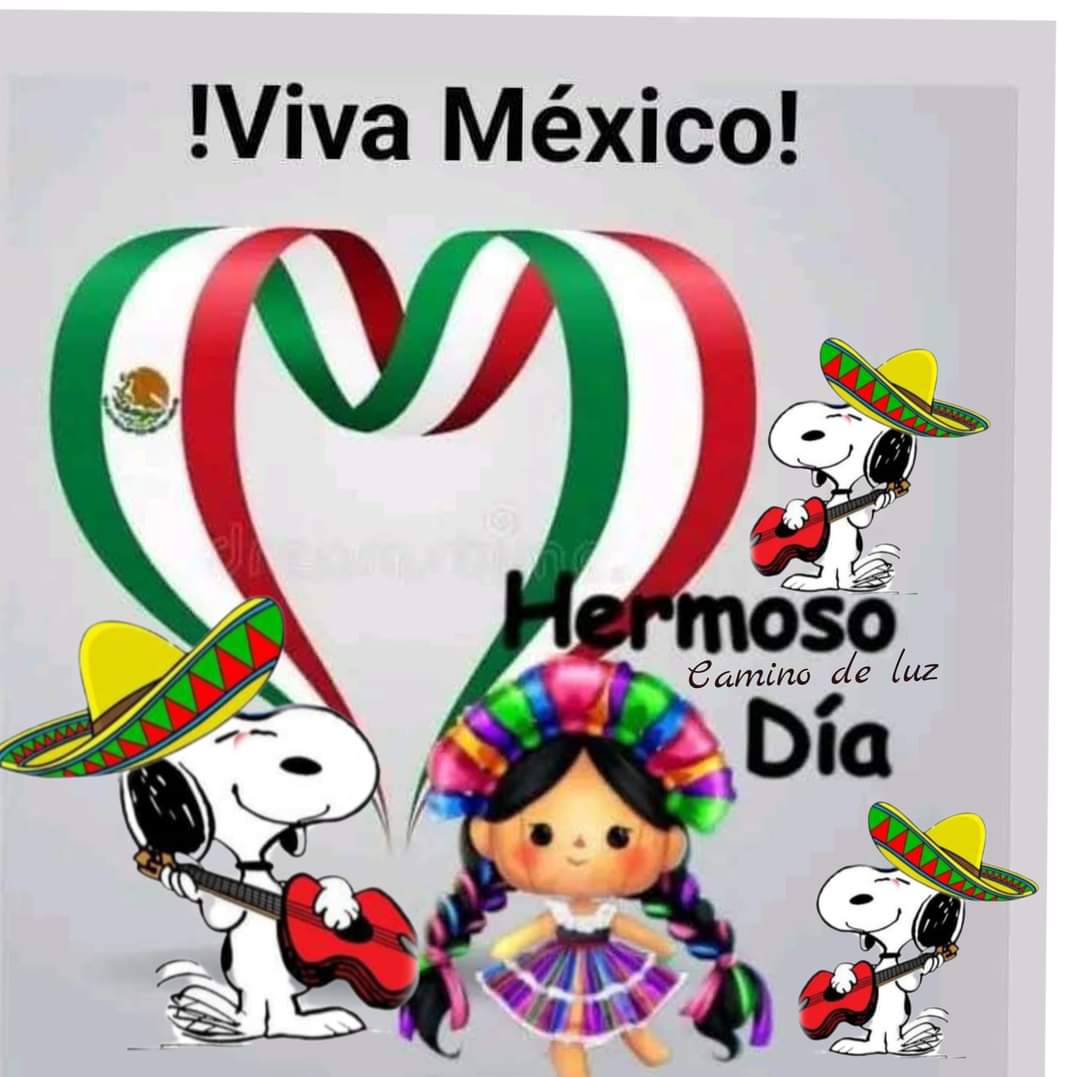 Rosa De Jesús (@rosa_galindo_) on Twitter photo 