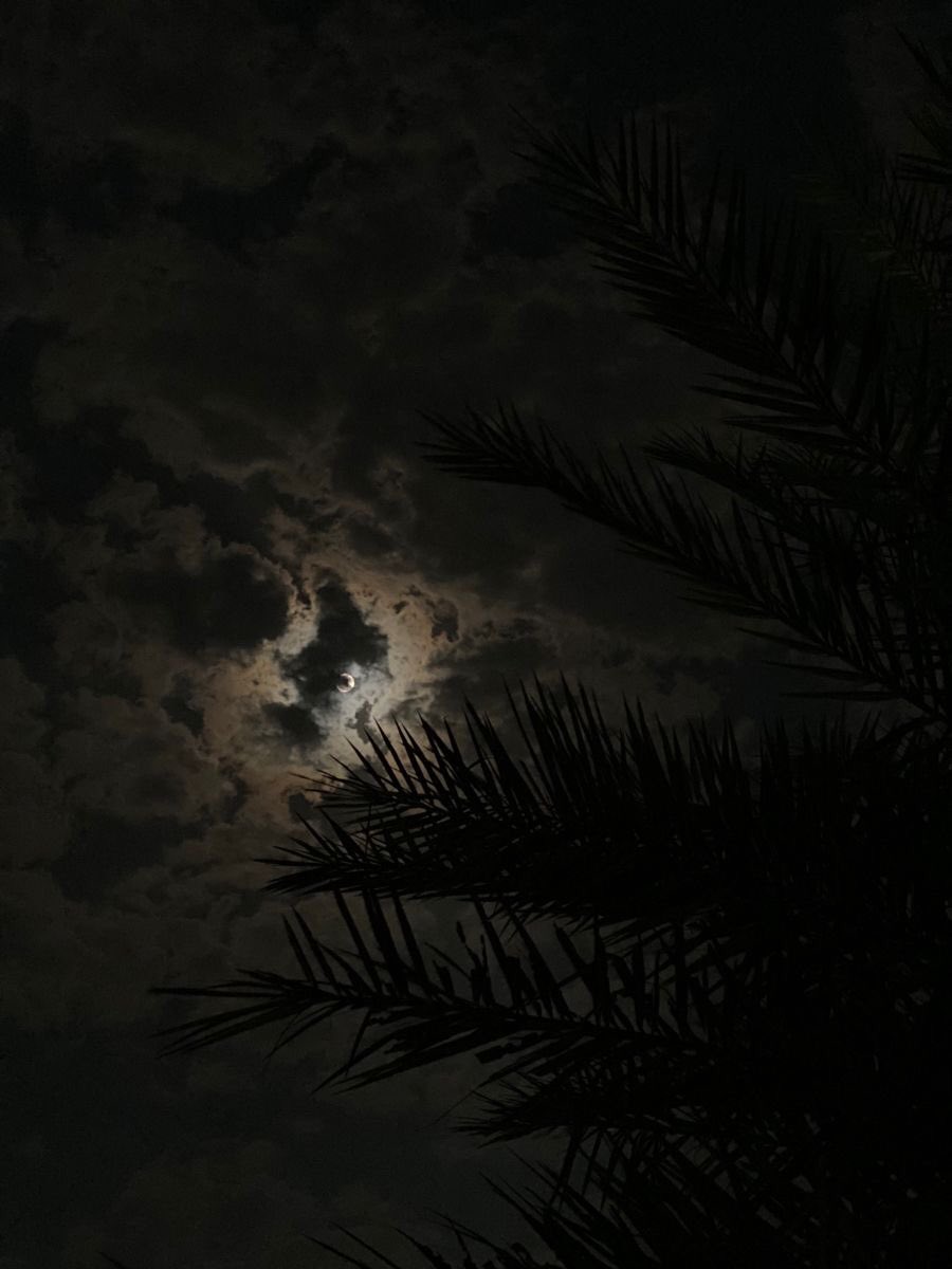 SHADIAALOFI's tweet photo. اللهم بك أدفع ما لا أطيق ولا حول ولا قوة إلا بك . https://t.co/AnULmj6g0i