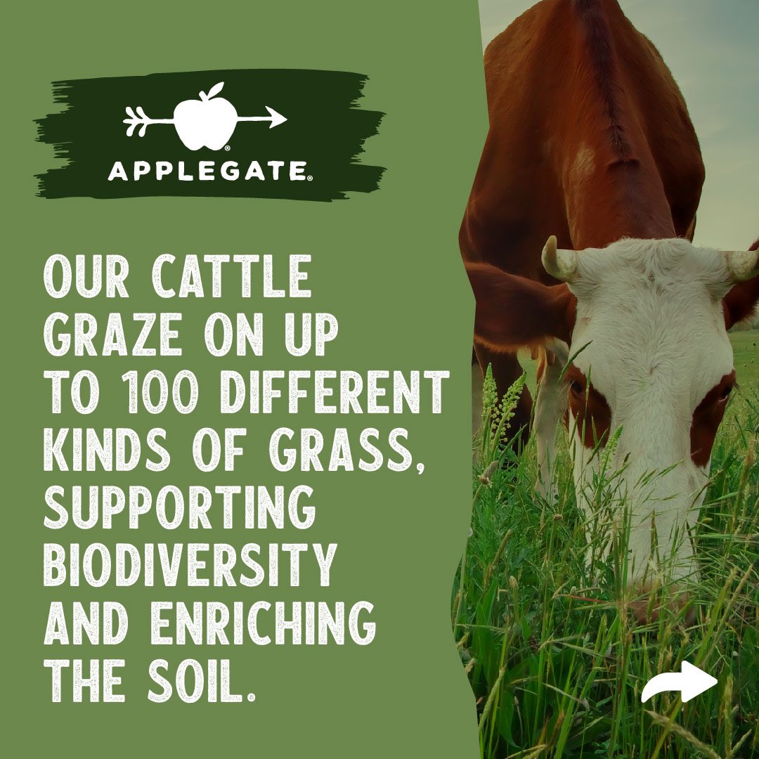 Both cows and soil benefit from a plethora of species of grasses on regenerative farms. 🌾⬇️🧵