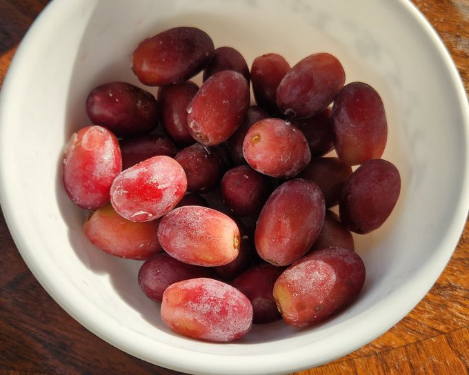 Frozen grapes 🍇 are better than popsicles. https://t.co/qjxLPcSuCt<a href="/tag/raspberrypi"class="tags"><span>#raspberrypi</span></a>