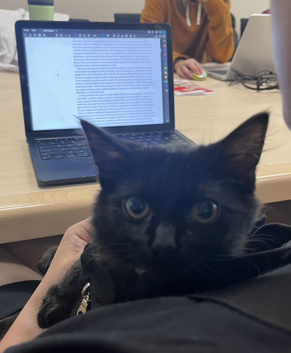 We had a special guest at journal club today 🐈‍⬛🖤