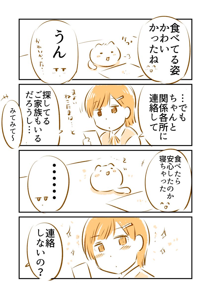 「ねこたま」のいる街(2/3) 
