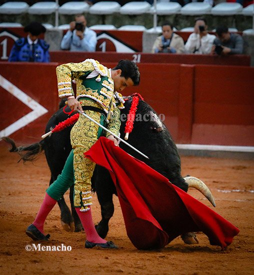 objetivoeltoro's tweet photo. 🔴 SALAMANCA 🐂
El otro gran protagonista, aún sin cortar trofeos por la espada, fue #MarioNavas con una faena al 3° extraordinaria.
Torería, cadencia, temple y clase ante un superclase de #LorenzoEspioja . Obra con pasajes para el recuerdo.... https://t.co/FgfHX5mrvd