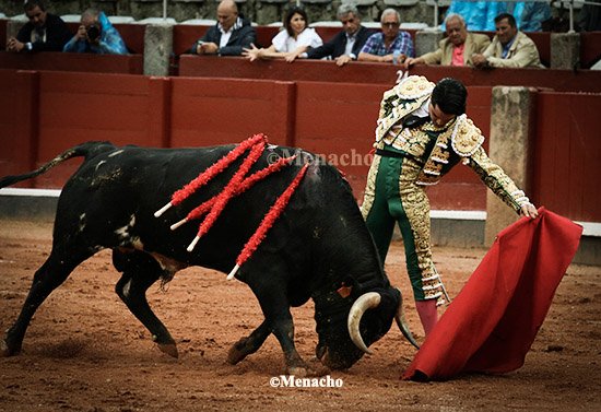objetivoeltoro's tweet photo. 🔴 SALAMANCA 🐂
El otro gran protagonista, aún sin cortar trofeos por la espada, fue #MarioNavas con una faena al 3° extraordinaria.
Torería, cadencia, temple y clase ante un superclase de #LorenzoEspioja . Obra con pasajes para el recuerdo.... https://t.co/FgfHX5mrvd