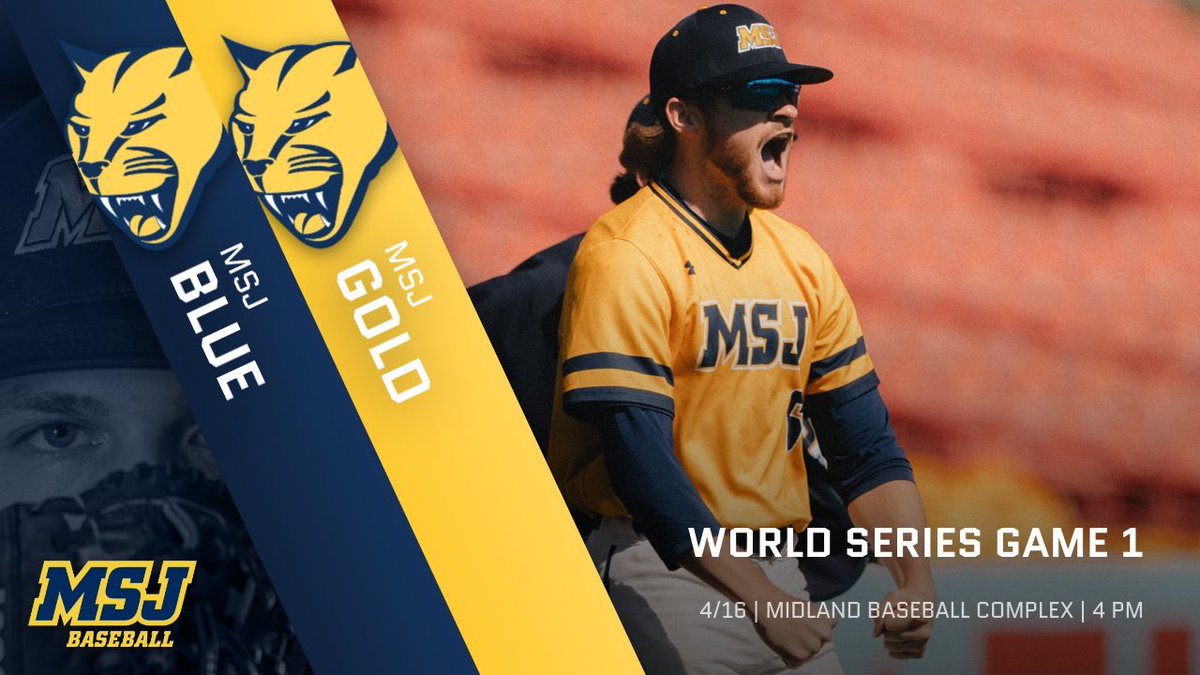 MSJ Baseball tweet media