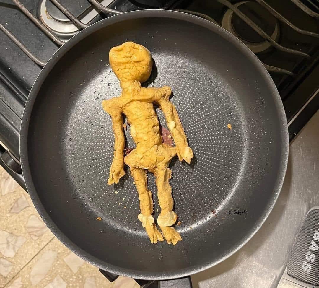 PaveloRockstar's tweet photo. Se cancela el pozole y las tostadas; ¡quiero tamaliens! 👽🇲🇽 https://t.co/5kBJoaU8vM