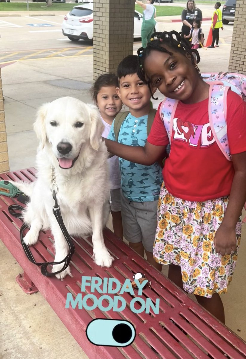 Keri_A_McCarty's tweet photo. Fact: great Fridays start with @BMEBaxter pets! ❤️🐾💛 #BeABobcat @hebisd @BME_Harrop https://t.co/id9u2cX0bT