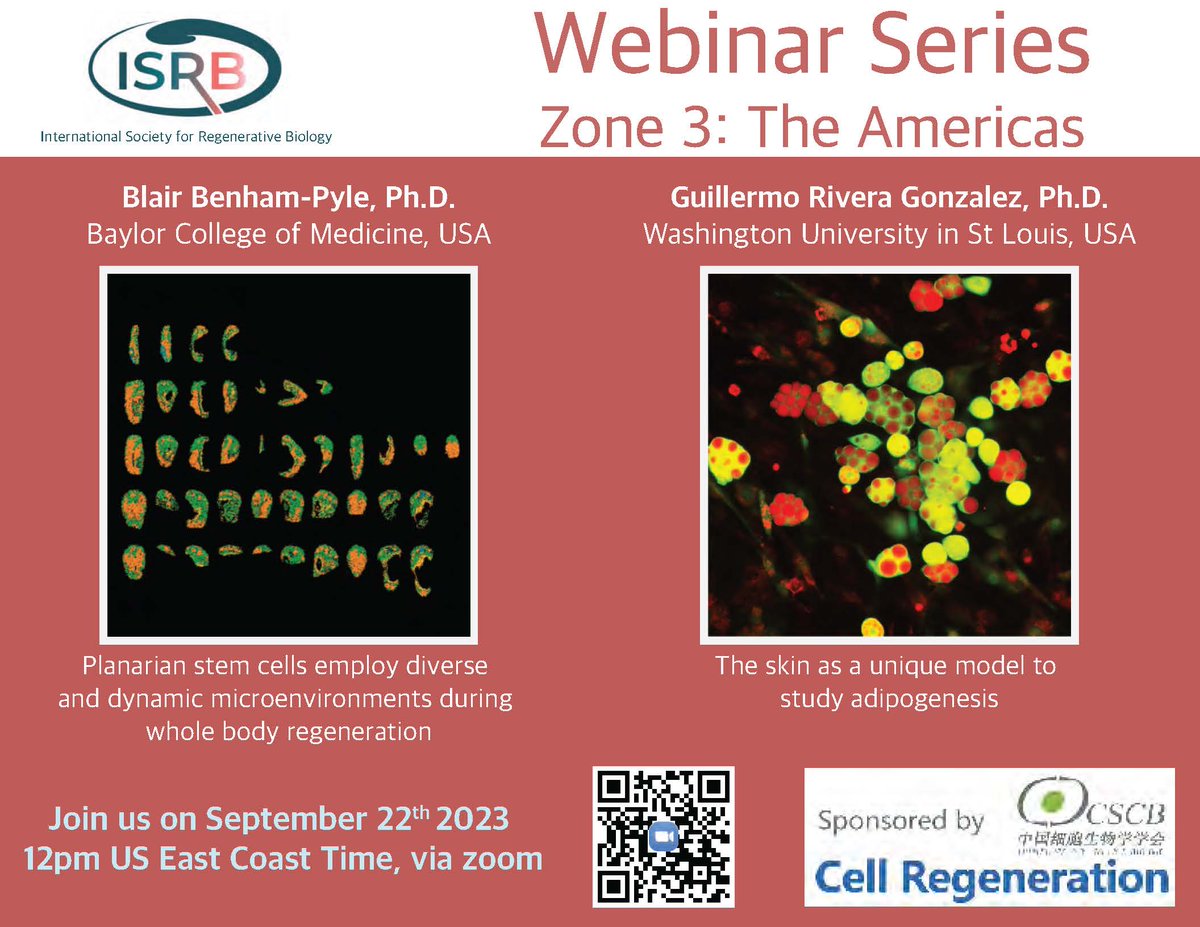 🚨 Join us in our next exciting #ISRB Webinar on #SingleCell Studies in Regeneration 🚨 Featuring Blair Benham-Pyle @BlairBenhamPyle and Guillermo Rivera-Gonzalez from the @morris_lab! @BCMHouston @WUSTL