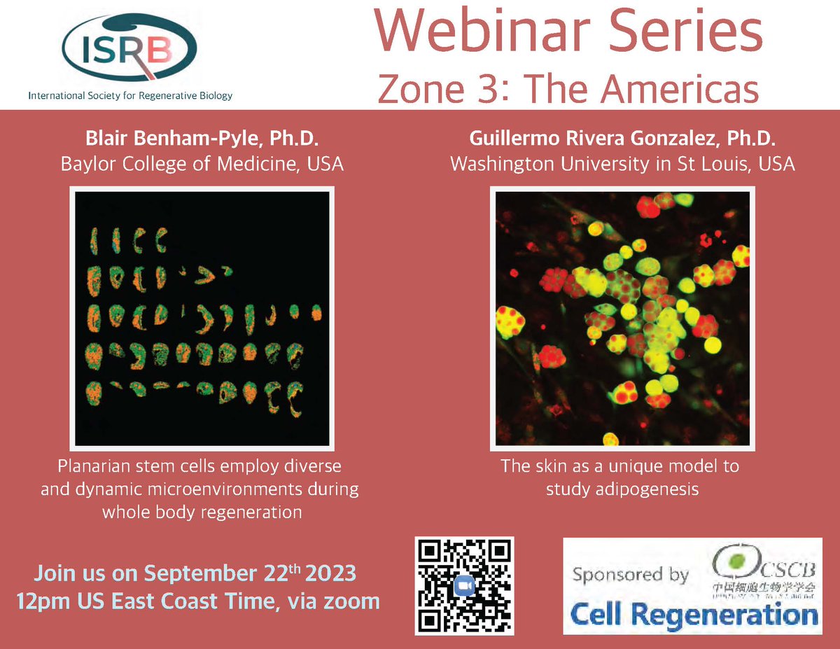 StefiVargasA's tweet photo. 🚨 Join us in our next exciting #ISRB Webinar on #SingleCell Studies in Regeneration 🚨 Featuring Blair Benham-Pyle @BlairBenhamPyle and Guillermo Rivera-Gonzalez from the @morris_lab! @BCMHouston @WUSTL https://t.co/kOdaGG0NMQ
