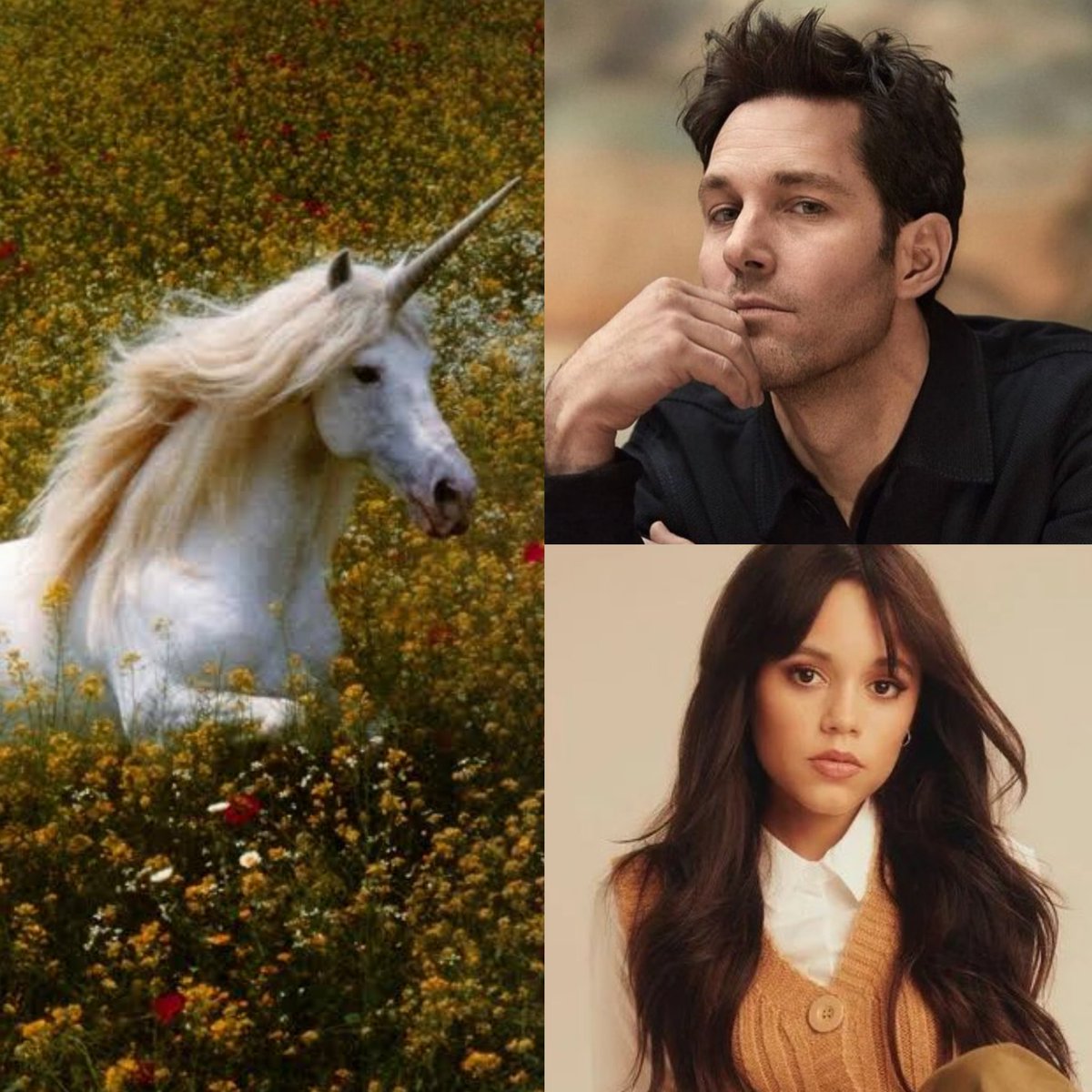 azinhabrasil's tweet photo. 🦄 DEATH OF A UNICORN, futuro lançamento da A24, tem o melhor que ela pode oferecer: unir vários elementos aleatórios em uma única obra.

- Paul Rudd e Jenna Ortega como pai e filha.
- Ari Aster como produtor.
- Unicórnio morrendo atropelado por uma família pacata.
- A indústria farmacêutica tentando explorar o corpo místico da criatura por suas propriedades curativas.
- Alex Scharfman, de BLOW THE MAN DOWN, dirigindo o longa.
- Terror e comédia na mesma medida.

O filme não tem previsão de estreia e ainda está em produção.
