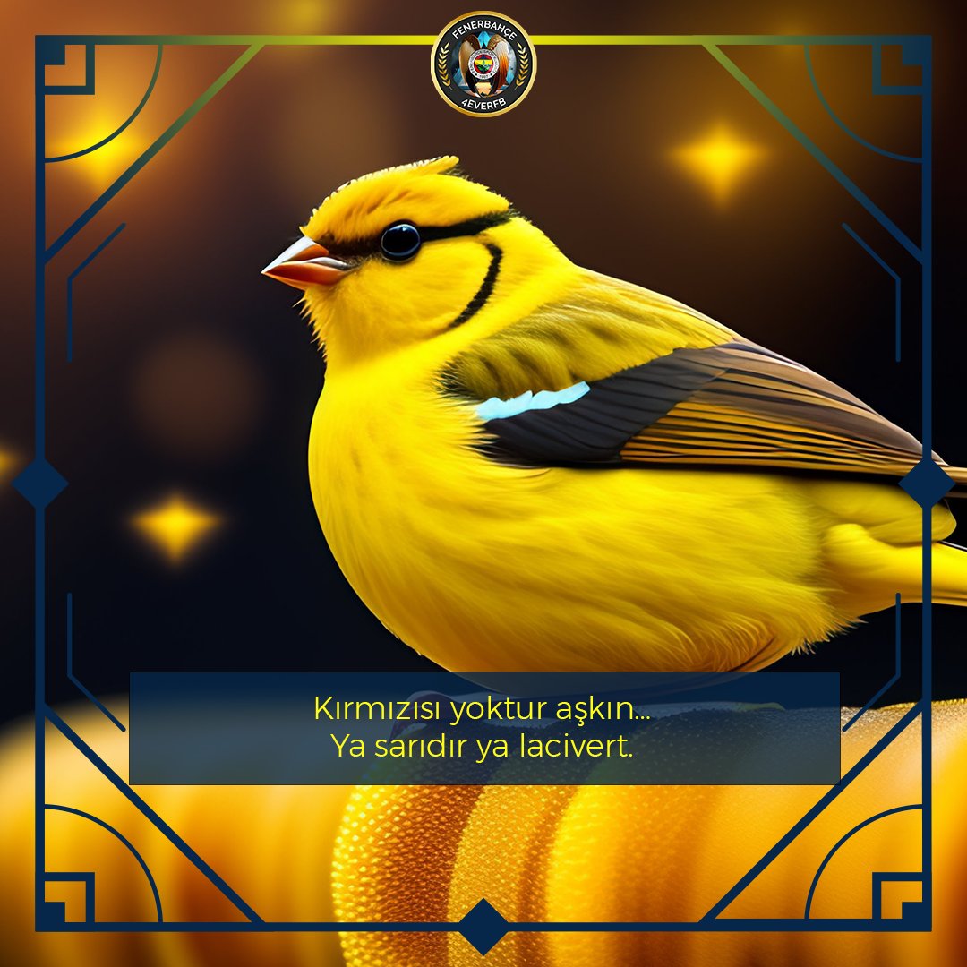 4everfbfanpage's tweet photo. Kırmızısı yoktur aşkın...
Ya sarıdır ya lacivert.

#fenerbahçe #fb #fbfans #4everfbfanpage https://t.co/Kj88XHOtsw