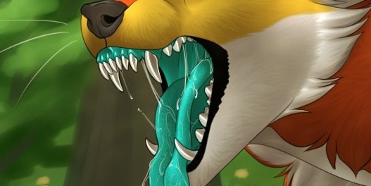 Mold19832471's tweet photo. @MajinBanzai1 Oh this is so rare 😅 https://t.co/XP2t3TdYCL