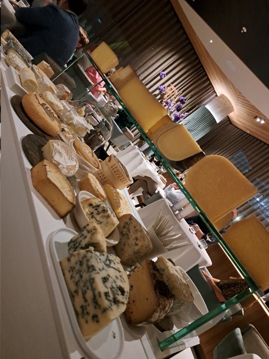 TessavanS's tweet photo. Groeten van ons, én van Fred! #boompjes #rotterdam #Michelin #opdefiets https://t.co/ruSvSA4qcg