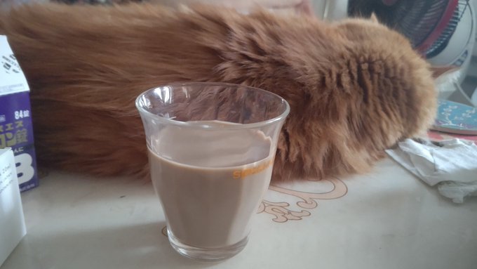 昨日、ワンワンは食事もとれないくらい体調が悪くて心配だったんだが
今日は水も食事もとってるので一安心…

扇風機にあたってたらよくなったので、暑さに少しやられてたみたい 