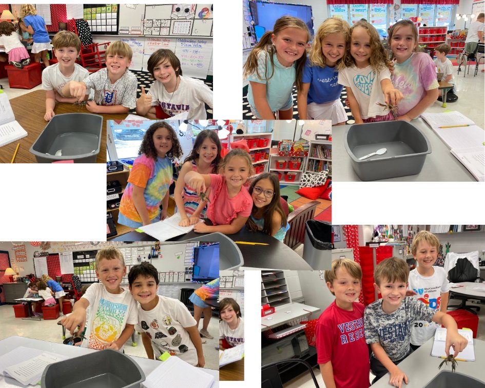 Joy McPherson tweet media