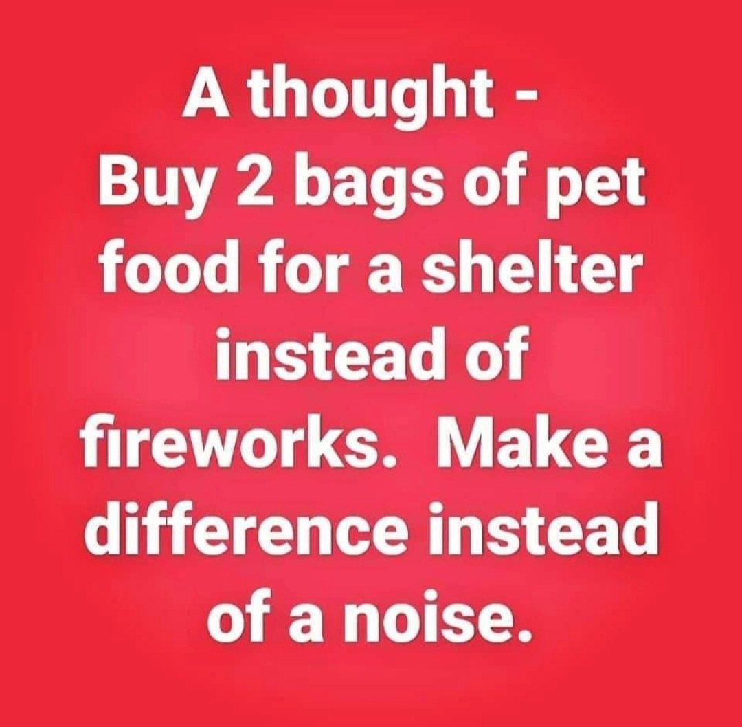 Amen to this 🙏 #banfireworks #dogsoftwitter  #catsoftwitter #dogs #dogsofworld #catsofworld #Fireworks #saveanimals #animals #AnimalLovers #thoughts #dog #rescueanimals #ban