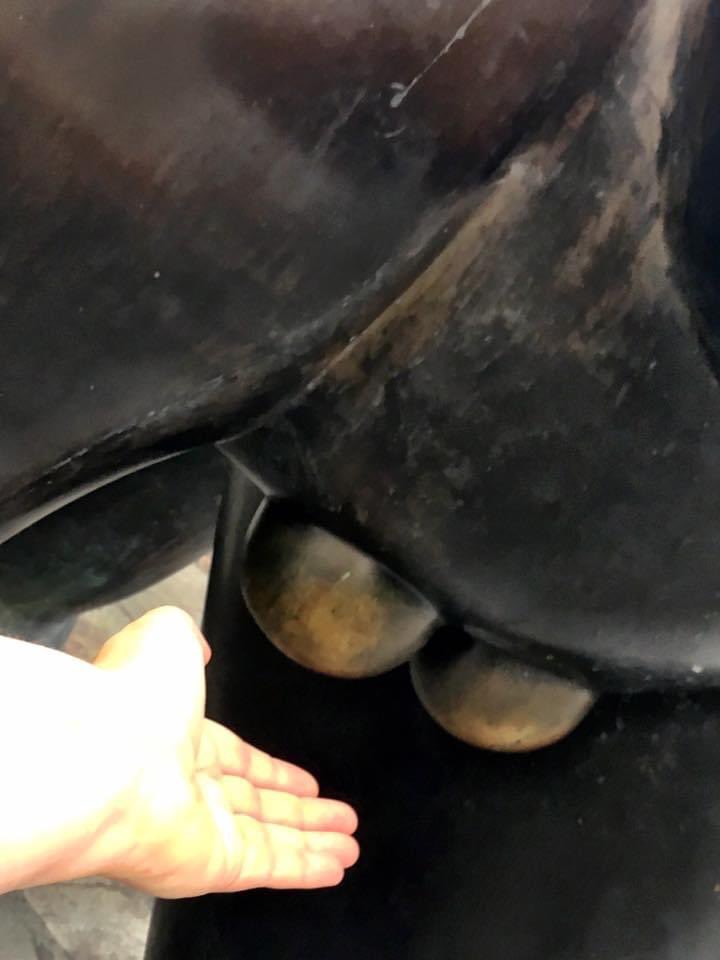 WhosKateStrange's tweet photo. In advance of #Caterday #Botera “Cat from the Raval" ….oh & he’s def not been to the vets. RIP Fernando Botero. https://t.co/bXZHpX4RxZ
