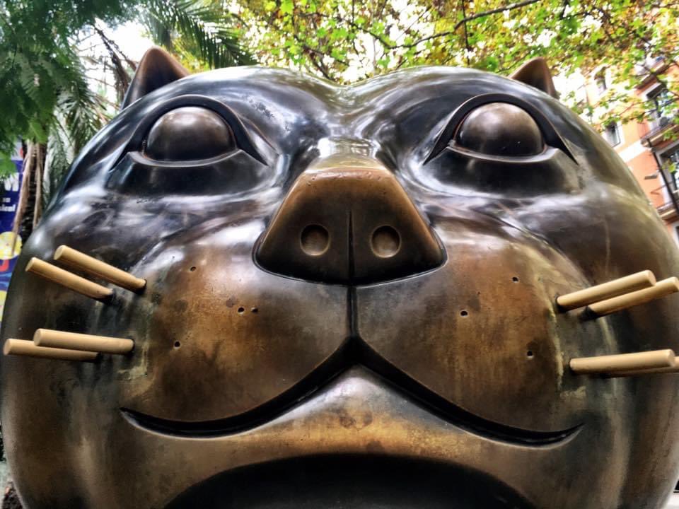 WhosKateStrange's tweet photo. In advance of #Caterday #Botera “Cat from the Raval" ….oh & he’s def not been to the vets. RIP Fernando Botero. https://t.co/bXZHpX4RxZ