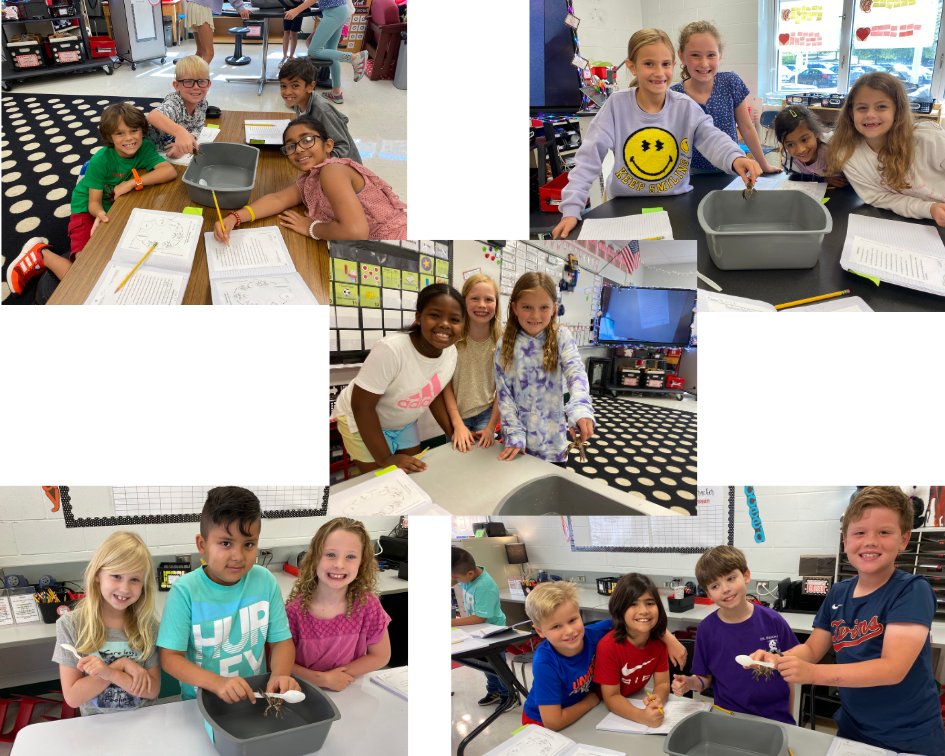 Joy McPherson tweet media