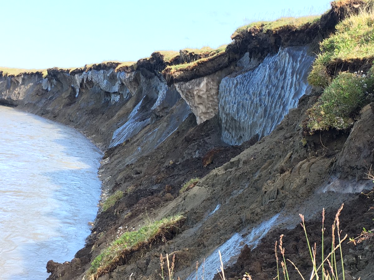 Most of Earth’s near-surface #permafrost could be gone by 2100, an international team of scientists has concluded after comparing current climate trends to the planet’s climate 3 million years ago. Professor emeritus Vladimir Romanovsky of the <a href="/uafairbanks/">UA Fairbanks</a> Geophysical Institute