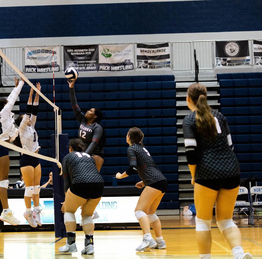 HillgroveVball's tweet photo. The future is bright 😎

📸@m_howellsmedia 

#hillgrovevolleyball #GGOD #FAMILY https://t.co/gJq9NEFCoH