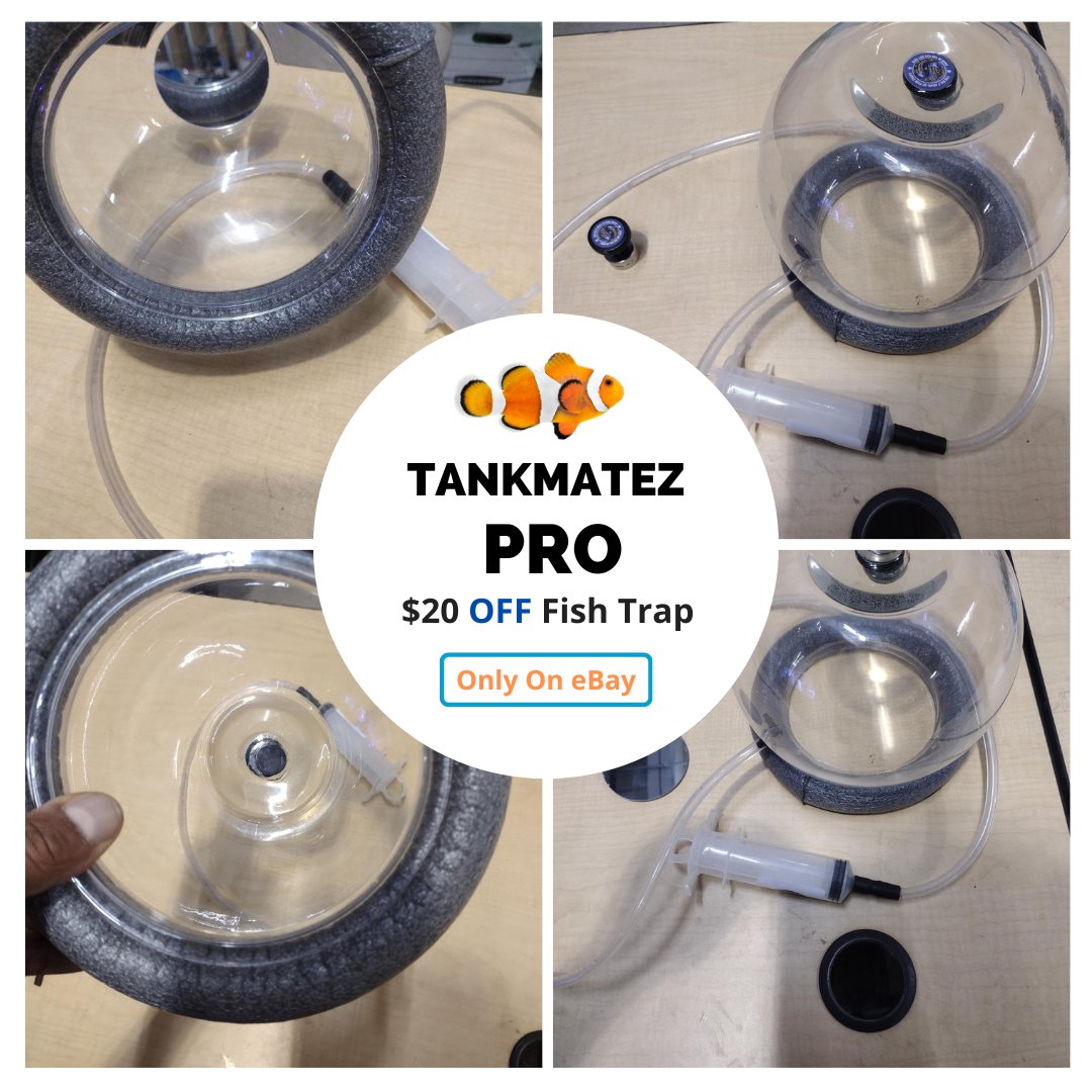 tankmatez's tweet photo. Newly listed on Ebay. An 8 Inch PRO Bubble Fish Trap. Huge Discount!
Visit: https://t.co/kTA2AmbrfT https://t.co/NI1IFKEmz1