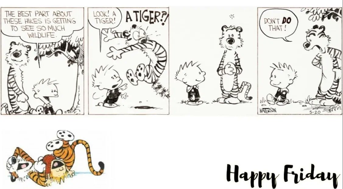 Calvinn_Hobbes's tweet photo. HAPPY FRIDAY #TGIF #CalvinandHobbes https://t.co/0eGwxiYZUj