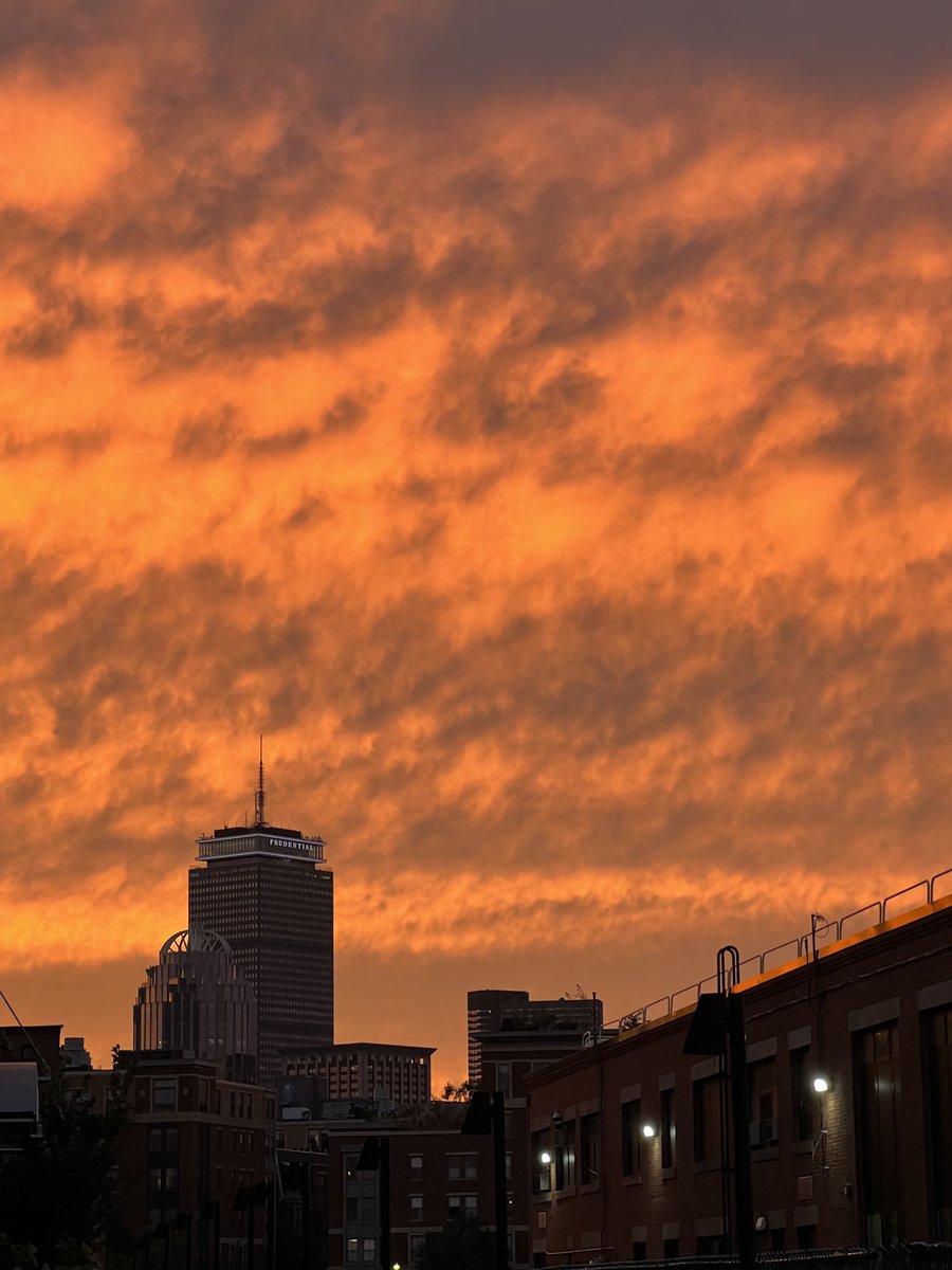 Ryan Hanrahan tweet media