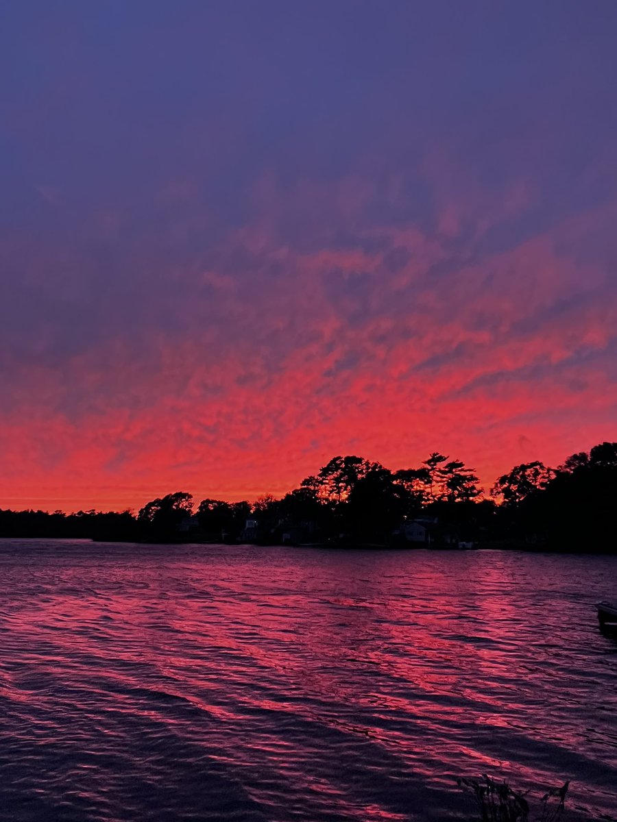 TeamJake tweet media