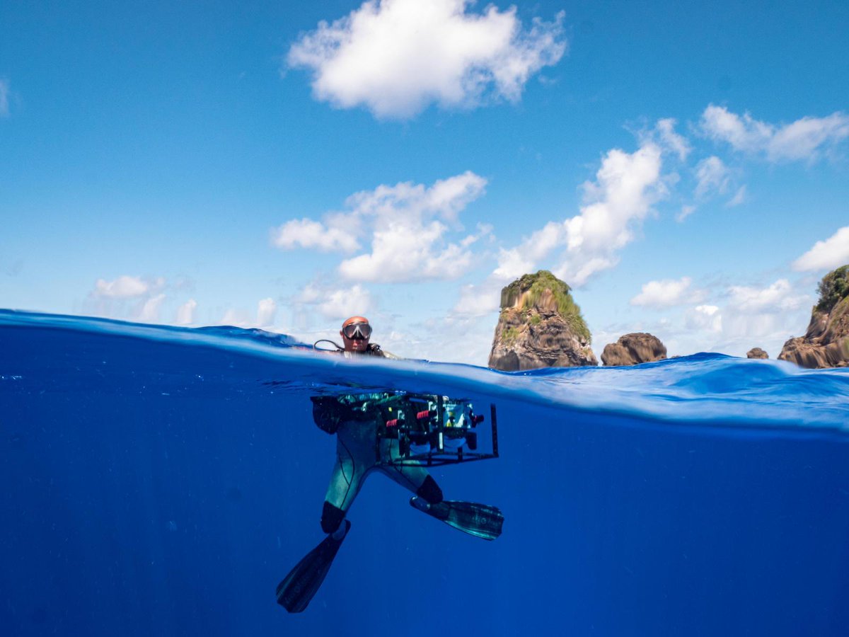 Waitt Institute tweet media