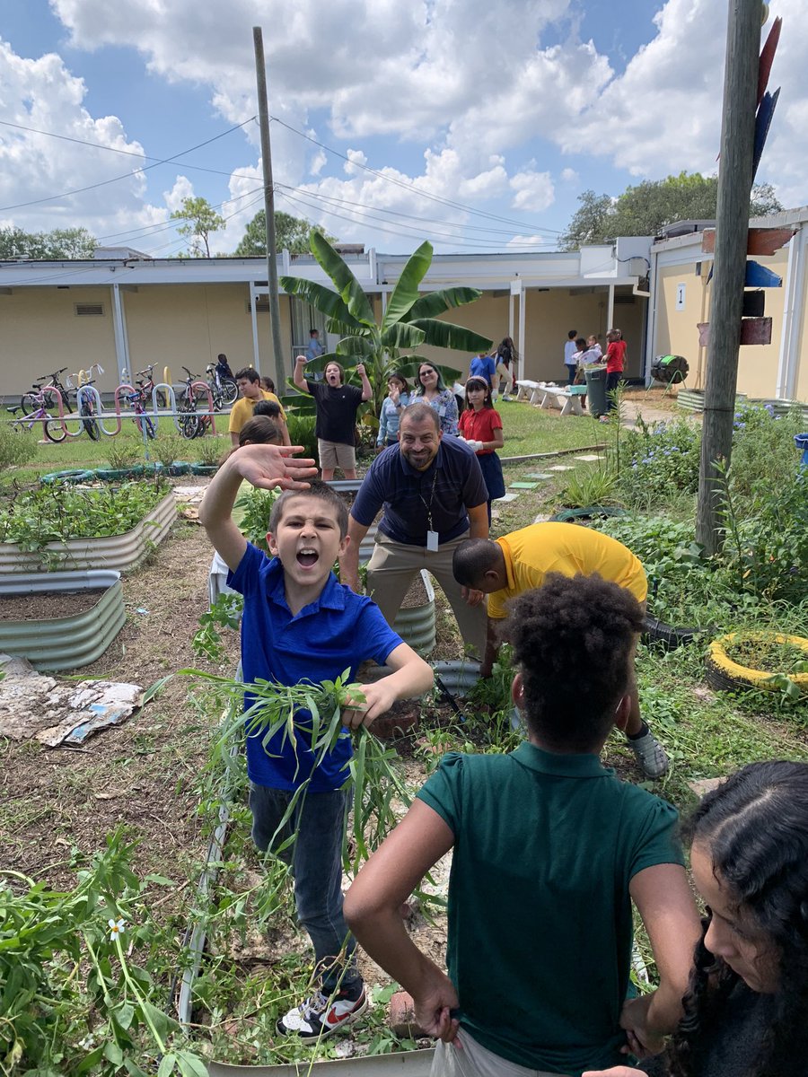 It takes a village and the 5th grade team @MortElementary are committed to growing in the garden! So many lessons…germination, plant parts, volume, teamwork, listening, depth, patterns and following directions. Watch us grow! #schoolgarden
<a href="/HCPSElemScience/">HCPSElemScience</a> <a href="/HCPSElemMath1/">HCPS Elementary Math</a>