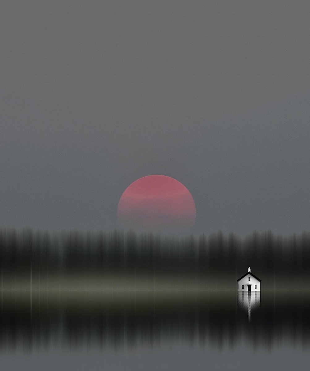#photography  &amp; #digitalart 

"Stay here"

by Niphisi

niphisi.com