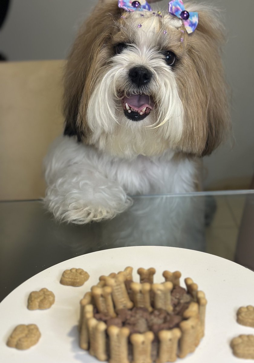 lariscarvalhoc's tweet photo. Minha princesa já está com 4 anos!!! Como o tempo passa rápido 🥹 https://t.co/1YO9JA3hyH
