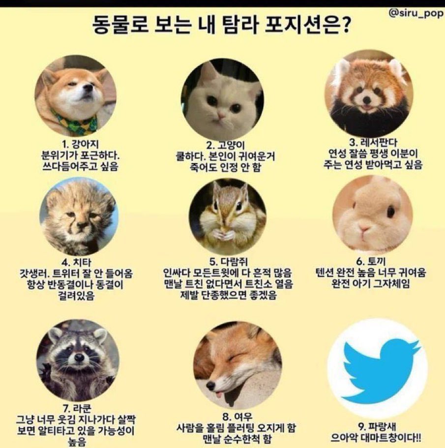 정지후 tweet media