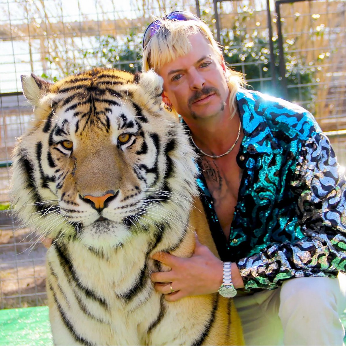 jasrifootball's tweet photo. 𝗧𝗥𝗘𝗡𝗗𝗜𝗡𝗚: Joe Exotic aka “Tiger King” wrote a letter to #Bengals QB Joe Burrow asking him to help raise $20,000 so he can afford to hire attorneys and get out of prison.

Here’s a portion of the letter, written from Joe Exotic to Burrow:

“I see the news, magazines, as well as yourself calling you the Tiger King. I have been the Tiger King before you got out of high school. Tiger King is my trademark and my intellectual property. How about doing a good deed and helping me raise $20,000 for a down payment to hire attorneys?” 

He continues: “Maybe paying it forward, God might help you get to the Super Bowl this year and I could go home for Christmas.”

https://t.co/hRbqvLZfDc
