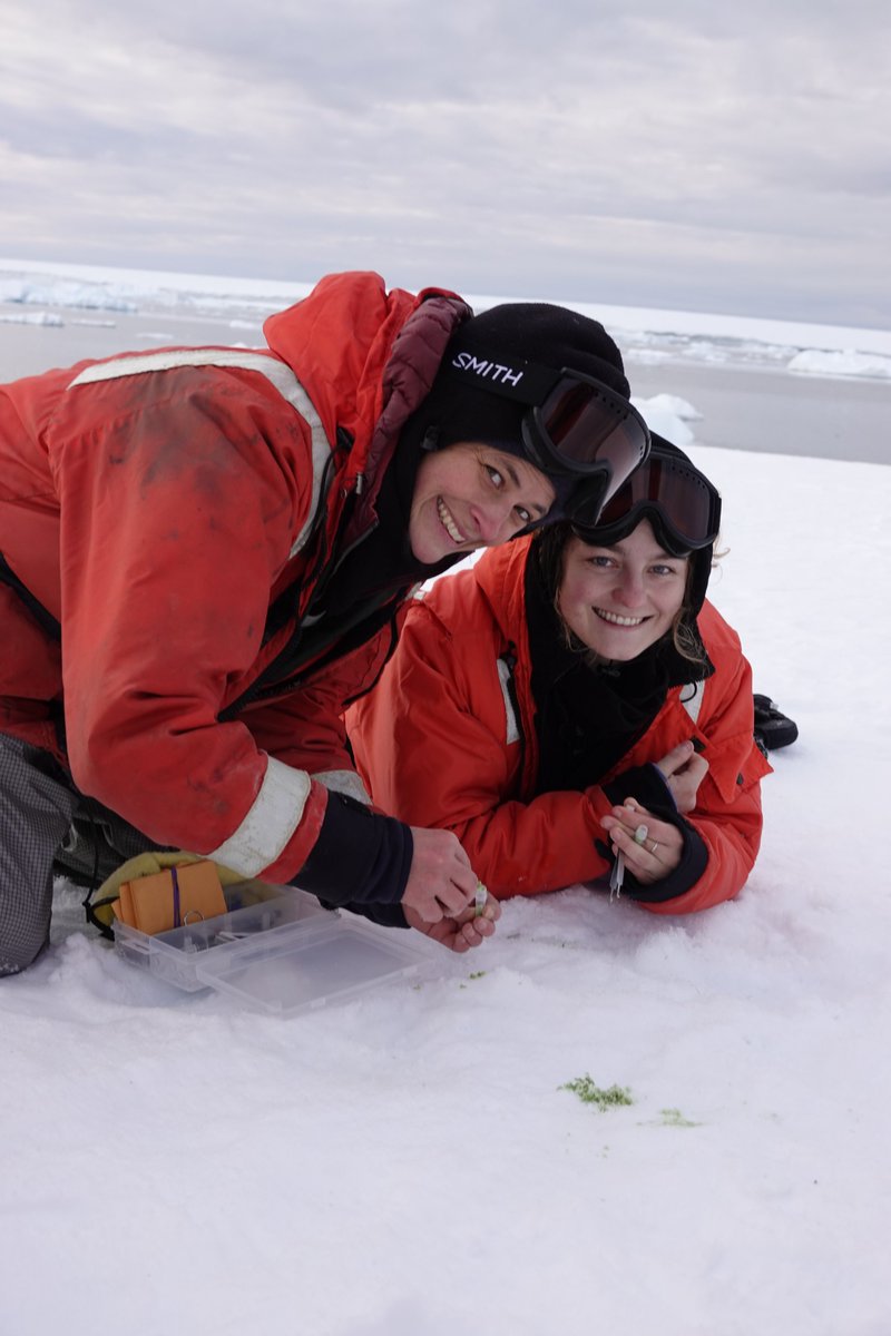 vel_mlml's tweet photo. Congratulations to VEL student @TAzizeh for being awarded the @NSF #GRFP! (left: Caitie Kroeger, right: Taylor Azizeh, bottom right: penguin poo)🐧 https://t.co/4PsasqwNpk