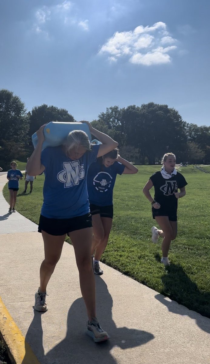 UNG Women's Hoops tweet media