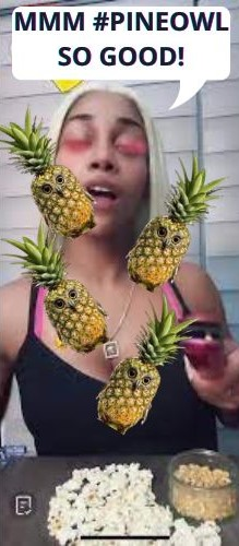 PineappleOwl_'s tweet photo. yes yes yes mmm pineowl so good, yes yes yes hoot hoot hoot 🍍 https://t.co/WHNrfMjajH