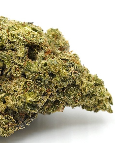 🅰️🅰️🅰️🅰️MUEL FUEL🐴⛽️

Also known as “The Mule Fuel,” is an Indica strain that is ideal for evening enjoyment. This cannabis strain offers an uplifting yet relaxing experience!

#canadacannabis #torontoweed #torontodispensary #ontariocannabis #toronto

quadzillacannabis.net/product/muel-f…