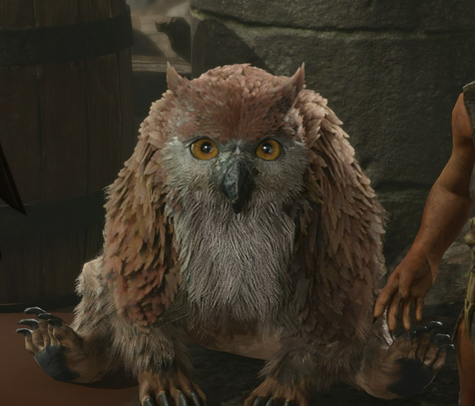 SongbirdN7's tweet photo. I know people like to talk about female representation and LGBT+ representation in gaming but I would like to give a special shoutout to the owlbear cub for being the most accurate representation of my last remaining braincell I've seen in gaming to date #BaldursGate3 https://t.co/SmYrnTkT7b