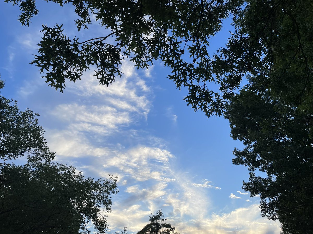 Derrick Robinson tweet media