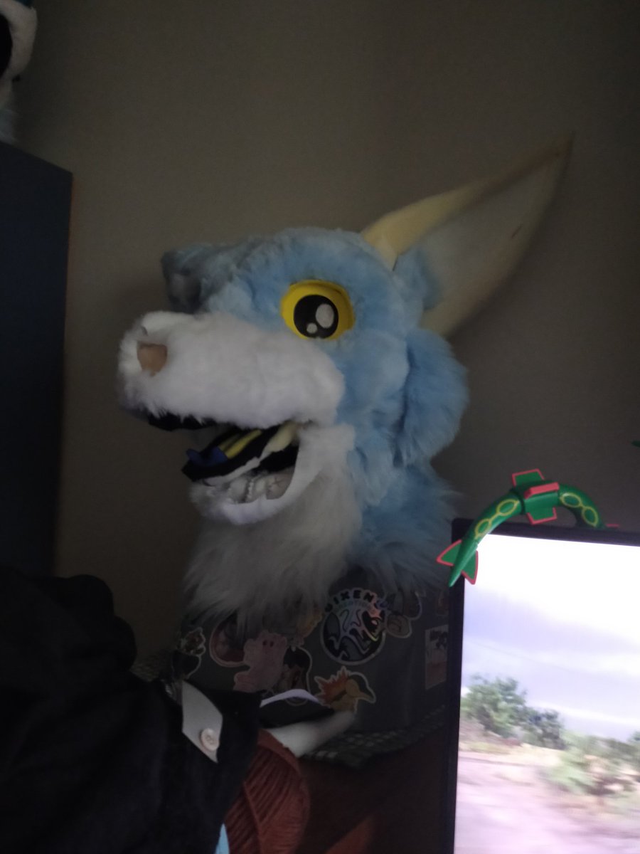 Been sick the last few days but I put the fur onto the head (not glued on yet) and omfg I feel like I'm being judged LOL #furry #furryfandom #furrycommunity #fursuit #fursuitmaker #fursuitmaking #fursuitwip #fursuithead