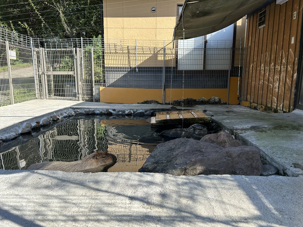 おはようございます。