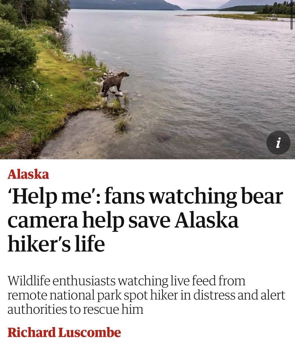 kendallybrown's tweet photo. Oh my god?? An old friend of mine helped save a man’s life this week after she spotted him pleading for help on the live bear trail cams she had been obsessively watching while recovering from major surgery. https://t.co/lzbf1znrof