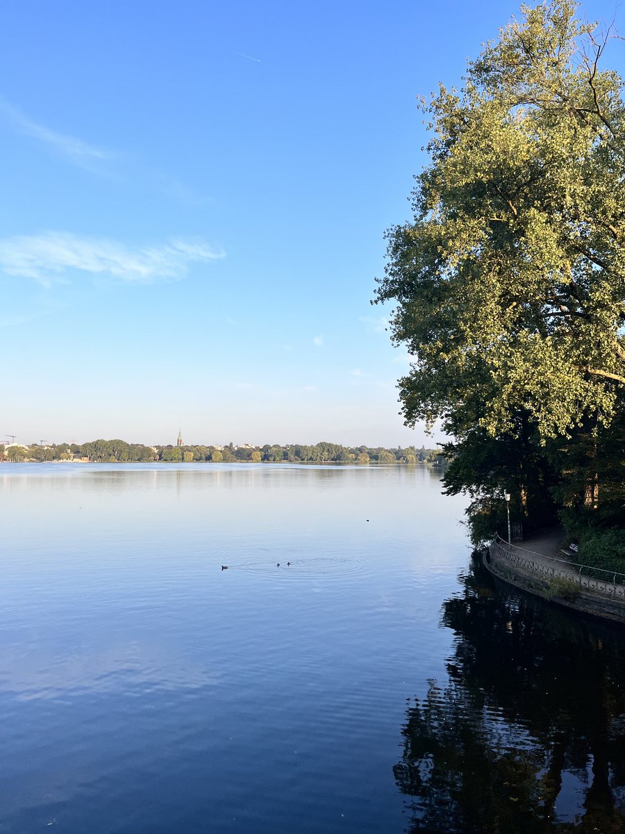 Das wollte ich immer mal machen. Laufen in #hamburg an der Aussenalster