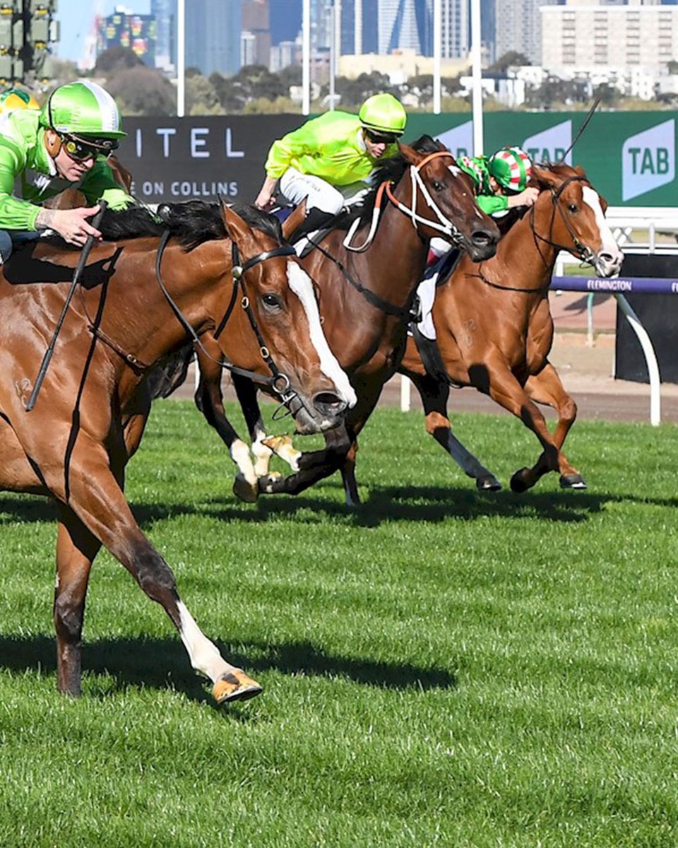 What an amazing win! Our #toronado filly SHESALLSHENANIGANS has made it 4 from 7 taking out the win in the Listed Cap D'Antibes <a href="/FlemingtonVRC/">Victoria Racing Club</a> !

A beautiful ride from <a href="/BlaikeMcDougall/">_</a>! Congratulations to all owners and amazing job to the SZR team for all their hard work!