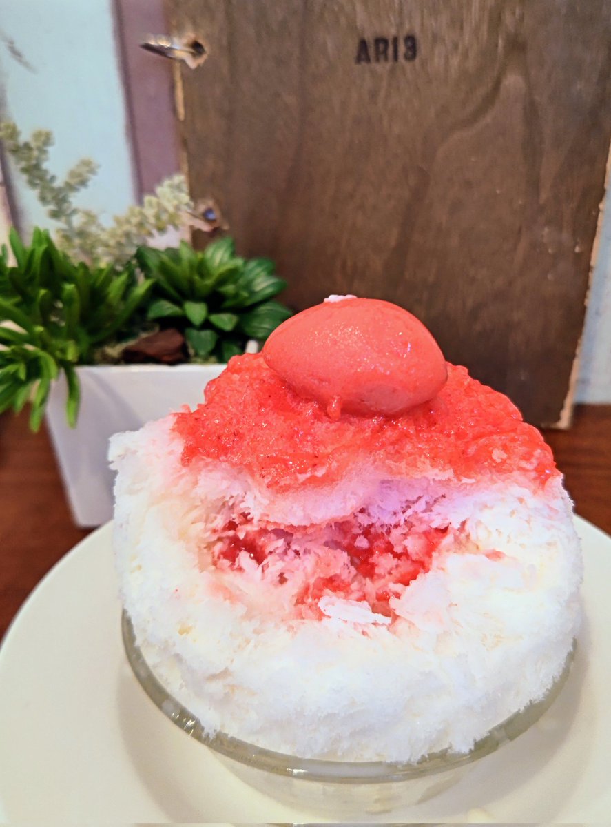 contact39's tweet photo. 暑過ぎるので、子供とかき氷を食べに行きました。
かき氷が有名なカフェです。(今日はメニューがかき氷のみと言われました)
氷の中心部にもしっかりいちごソースがあり、お皿の底にはバニラアイスも🥰
緑茶とおかきも付いてくるので、最後は冷えた体も落ち着きます😉
#ARI3 #かき氷 https://t.co/eykVcgkScj