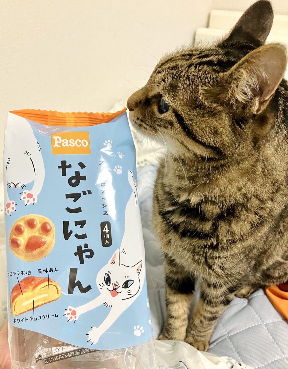 みんなー!!!なごにゃん買えた👏👏👏ありがとうウエルシア👏👏👏 